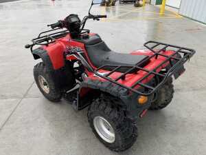 Tercell 250CC Quad - 3