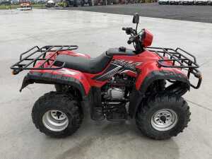 Tercell 250CC Quad - 6