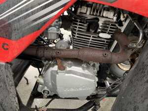 Tercell 250CC Quad - 8