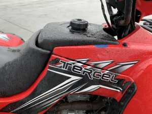 Tercell 250CC Quad - 9