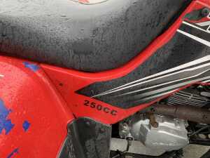 Tercell 250CC Quad - 10