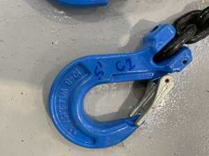 5' Chain c/w 2 x Hooks - 2