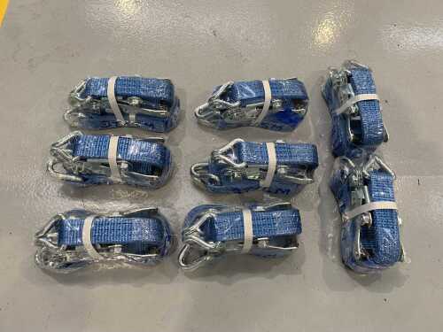 8 x 3T/5M Ratchet Straps