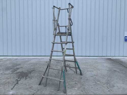 Stradbally 5-8 Step Podium Ladder