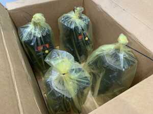 UNRESERVED 7 x UNUSED Rexroth A10VG Tandem Pumps (hydraulic Radial Piston Pump - 28cc) - 4