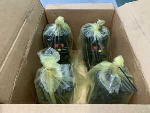 UNRESERVED 7 x UNUSED Rexroth A10VG Tandem Pumps (hydraulic Radial Piston Pump - 28cc) - 5