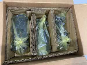 UNRESERVED 6 x UNUSED Rexroth A10VG Tandem Pumps (Hydraulic Radial Piston - 28cc) - 2